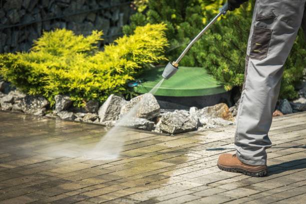 Best Dumpster Area Cleaning  in West End, NY