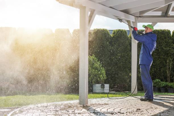Best Roof Washing  in West End, NY